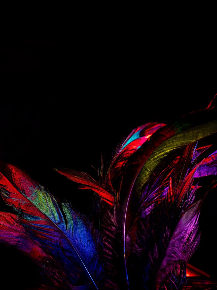 merlinlightpainting