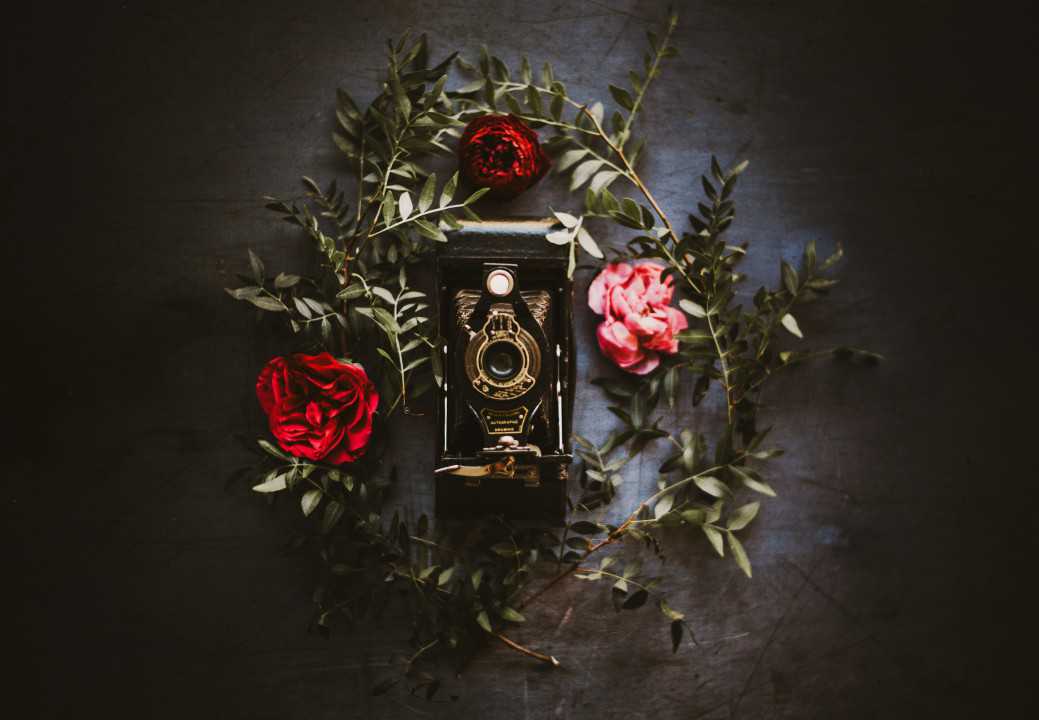 Annie Spratt