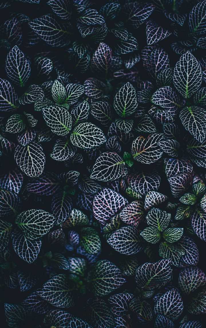 Annie Spratt
