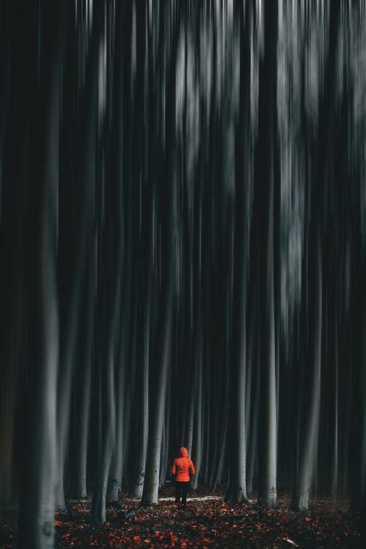 Philipp Knape