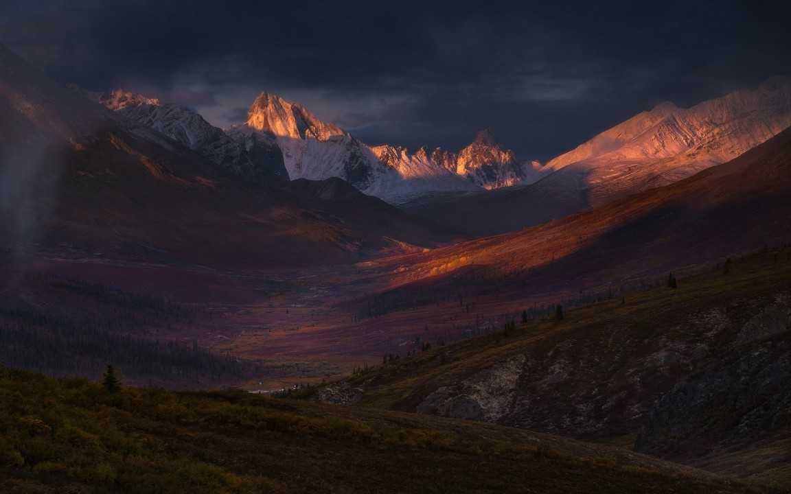 Peter Pham
