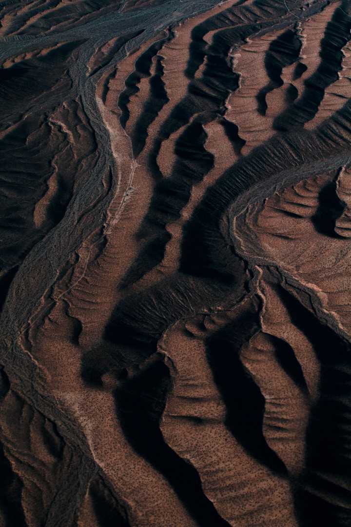 Taryn Kaahanui