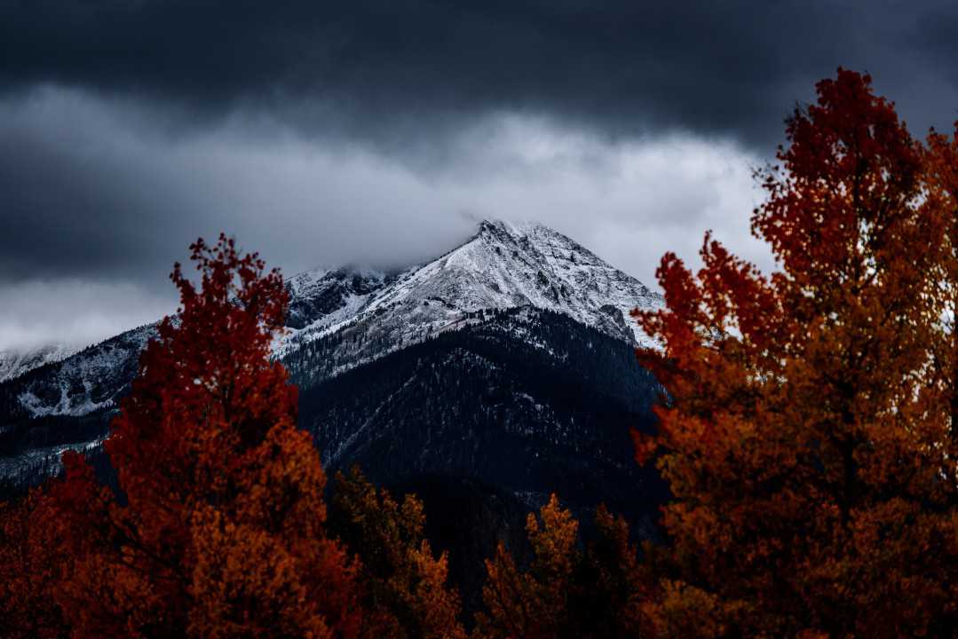 Unsplash