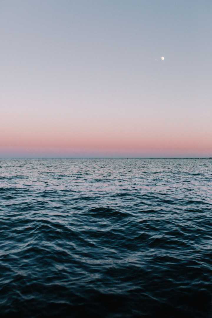 Andrew Neel
