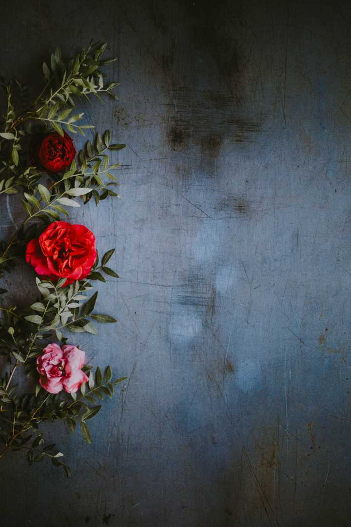 Annie Spratt
