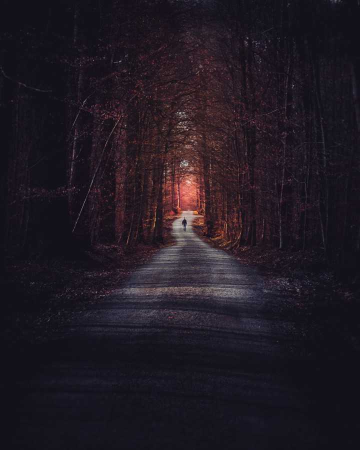 Oliver Roos