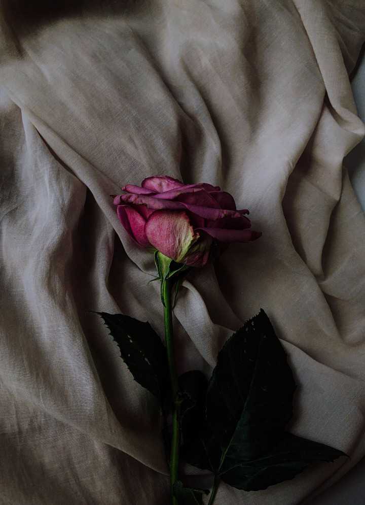 Foto T