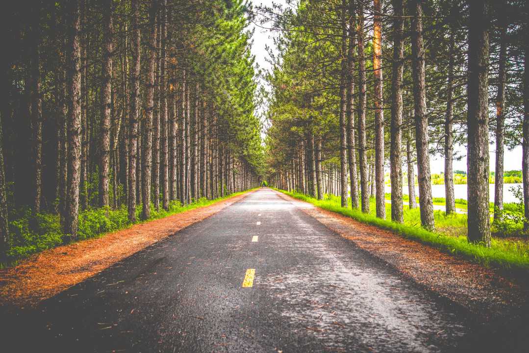 Free-Photos 