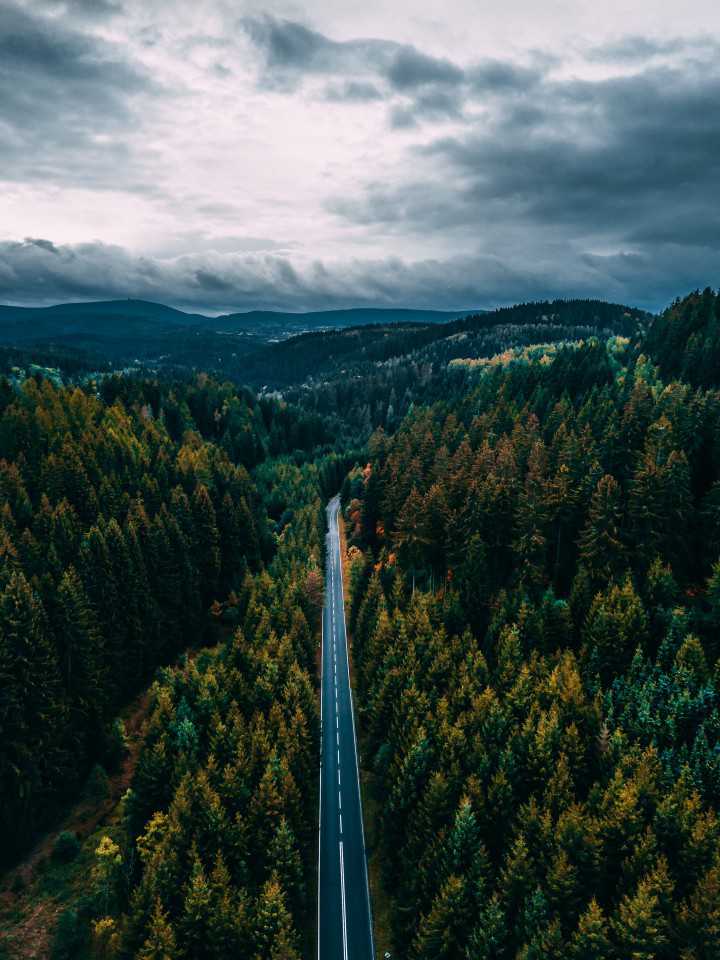 Philipp Knape