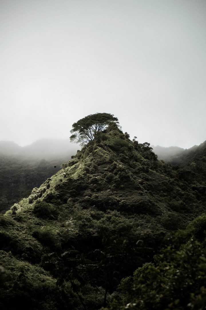 Neil Nourigat