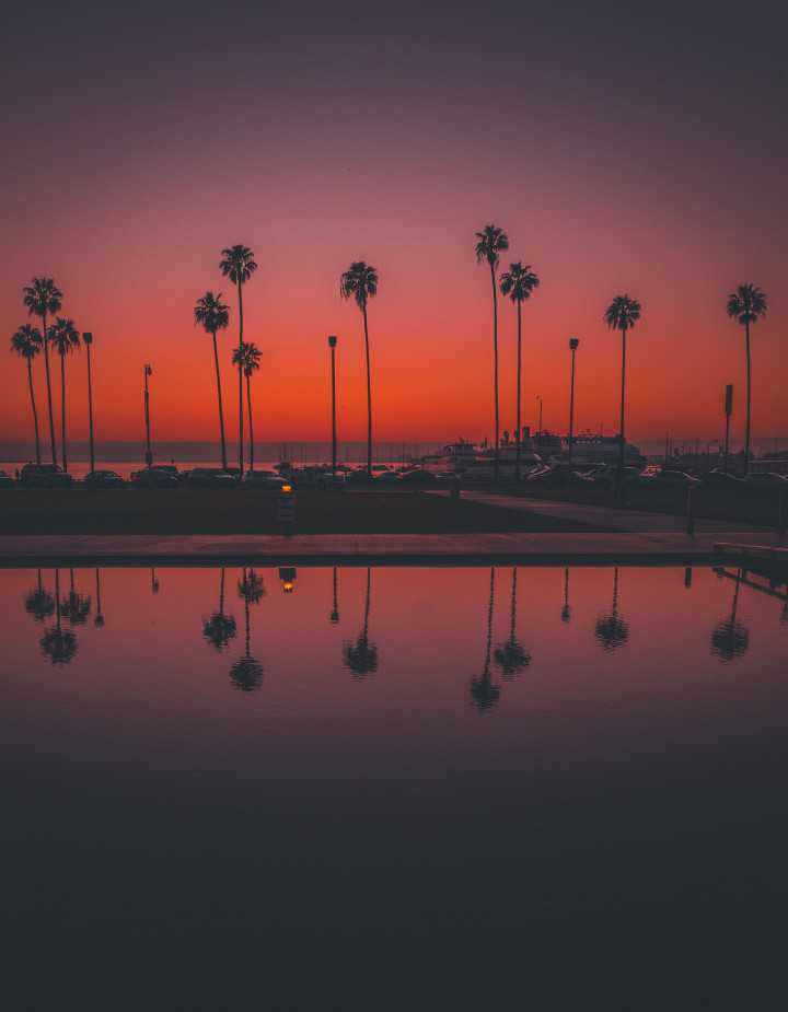 ryan lange