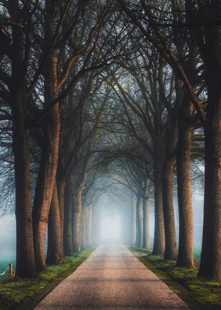 Ingmar Hoogerhoud