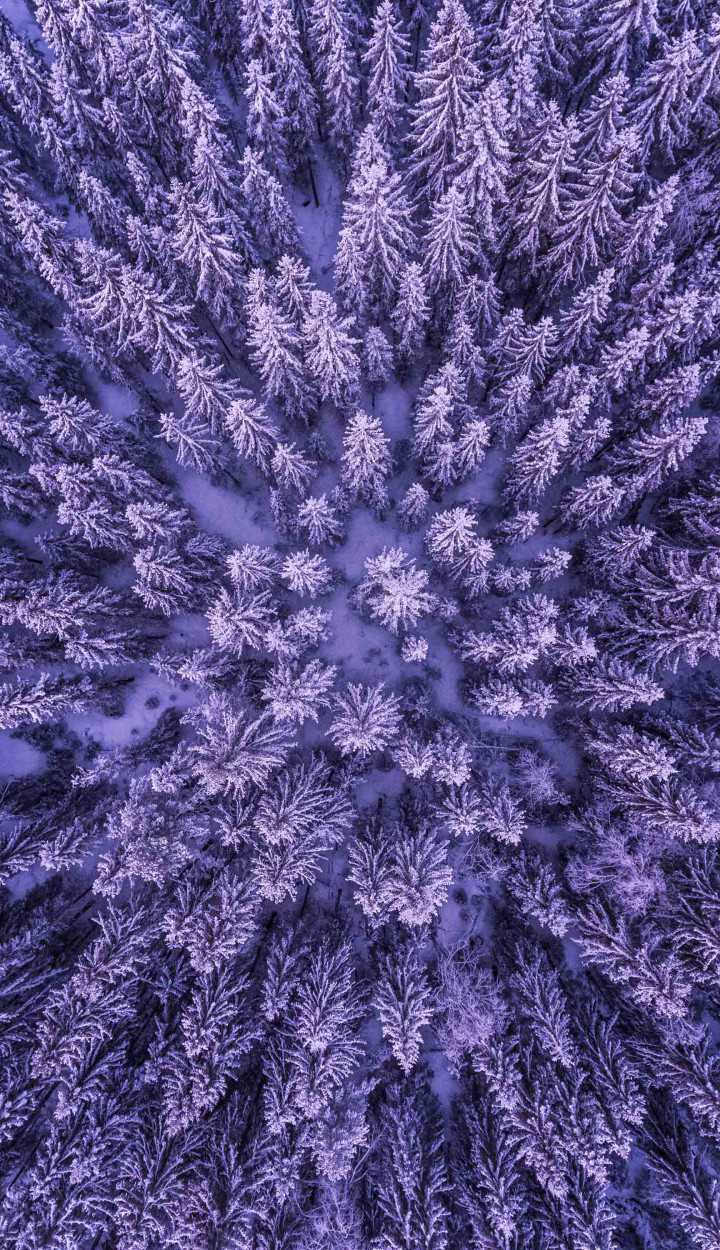 invisiblepower