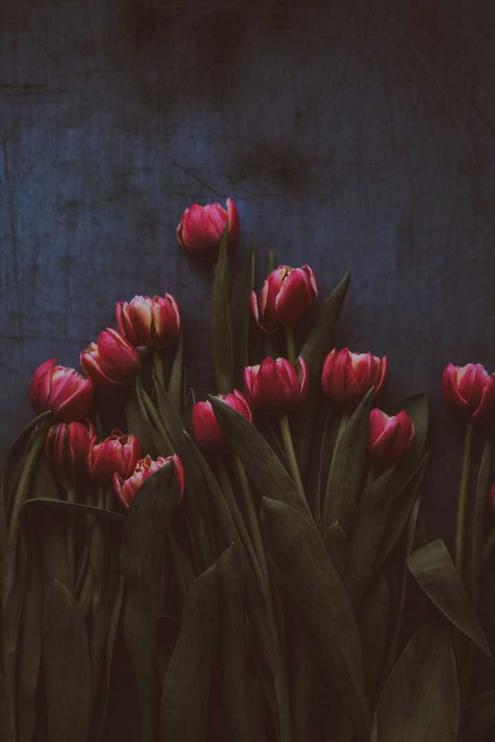 Annie Spratt