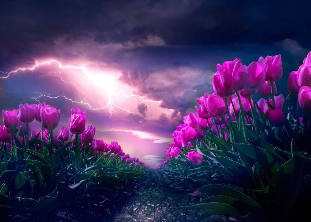 DreamyArt