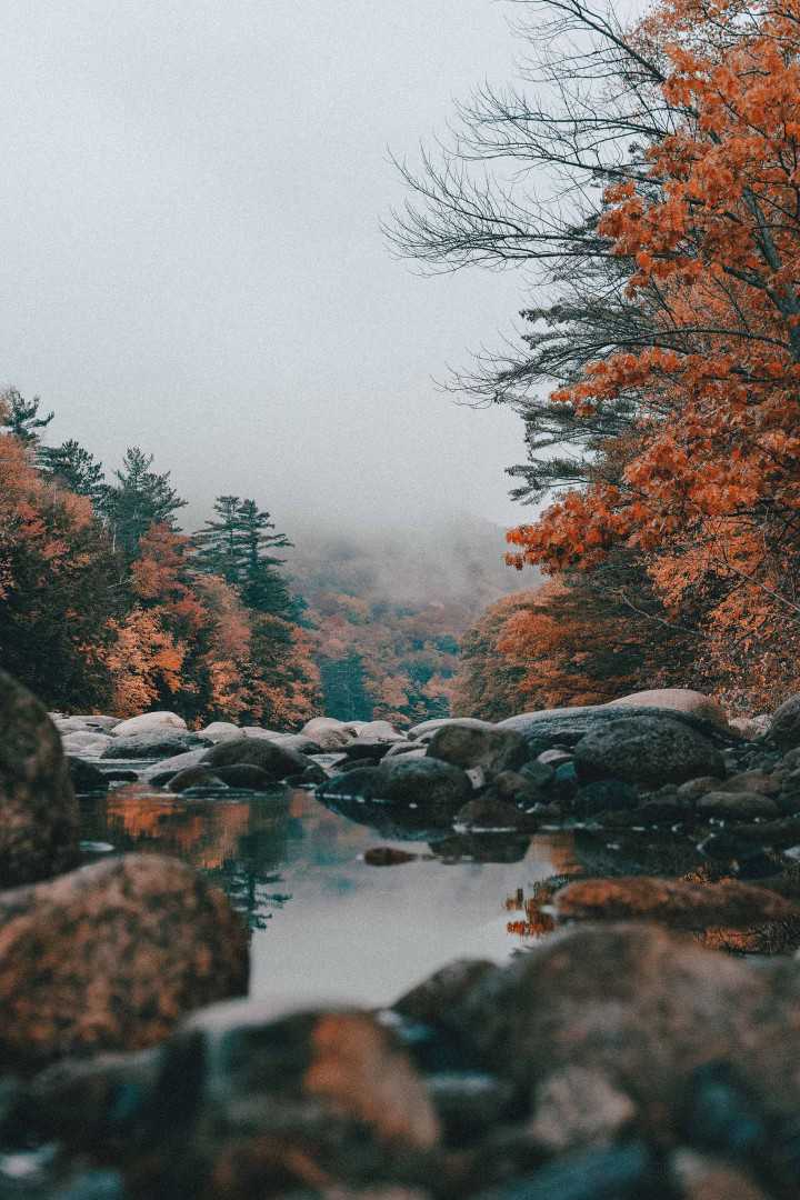 Aaron Mello