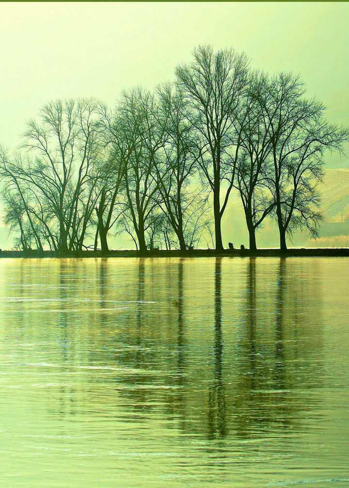 Mark Strobl